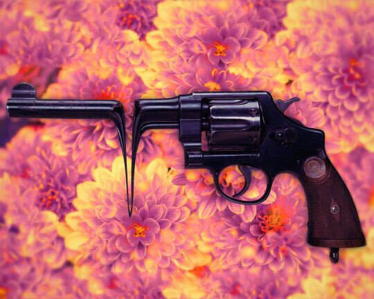 20号的科目二预约失败了。什么时候能预约最