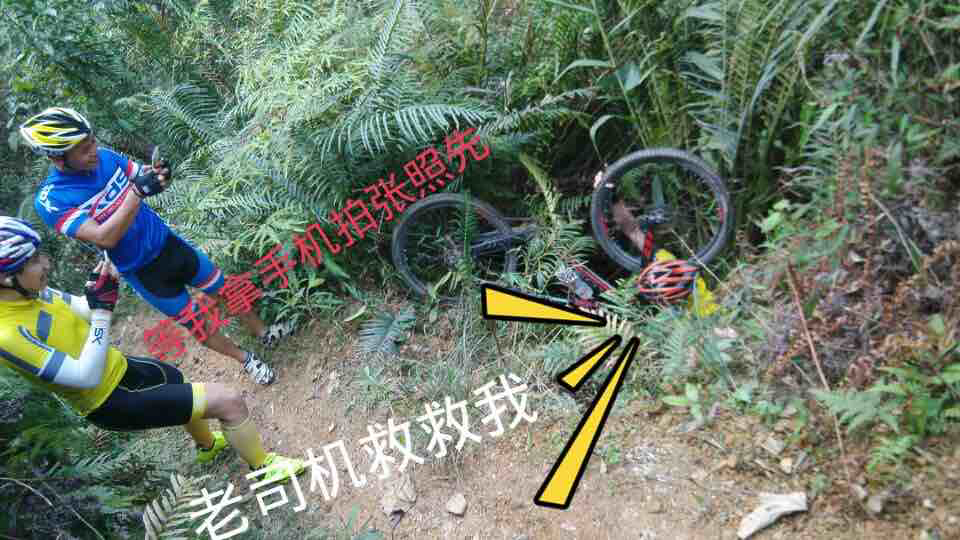 报名费6500、科目一360、科目二370、(外加两