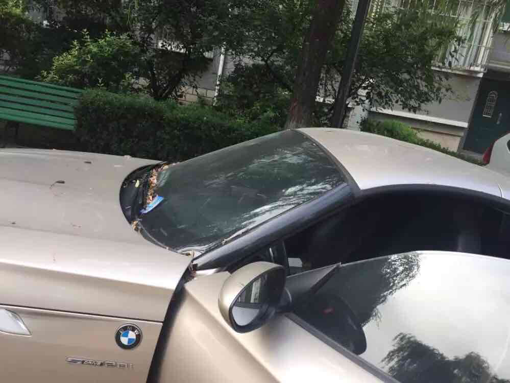 接上条女生!晒完本就v女生进来典典了,卸载一看为什么动态的快老图片